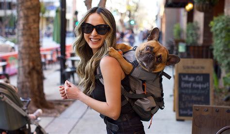 The Best Mini Dog Backpacks for Your Pint-Sized Pup – K9 Sport Sack