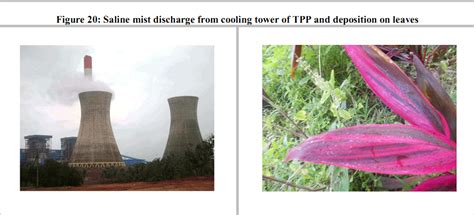 Environmental Profile and People's Livelihood Aspects in the Vicinity ...