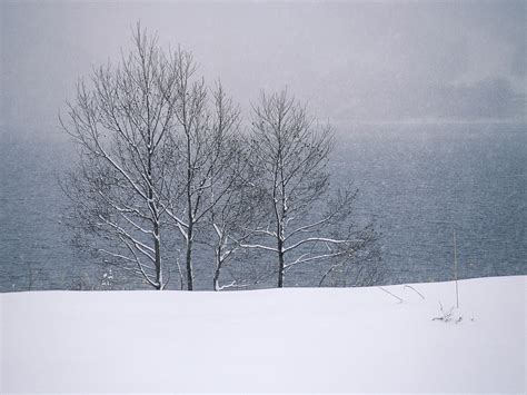 冬天下雪风景图片 - 站长素材
