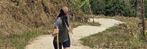 Cultural Temple Day Tour with Big Buddha Hike and Organic Thai Lunch ...