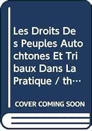 Buy Les Droits Des Peuples Autochtones Et Tribaux Dans La Pratique ...