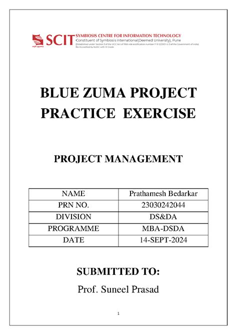 Project Report Blue Zumba prathamesh - BLUE ZUMA PROJECT PRACTICE ...