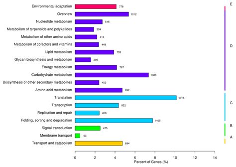 Transcriptomic Analysis of Betula halophila in Response to Salt Stress