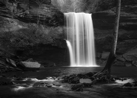 The 10 Elements of Composition in Photography