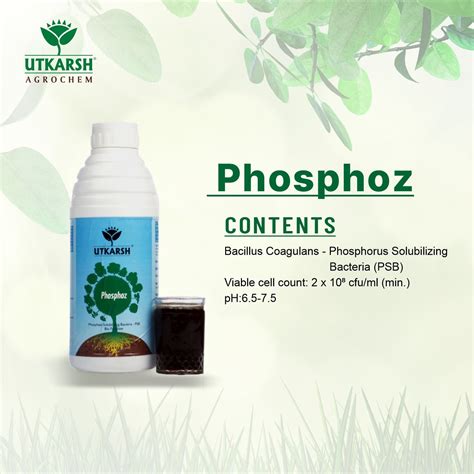 Phosphate Solubilizing Bacteria - PSB, Liquid Bio Fertilizer for Plant