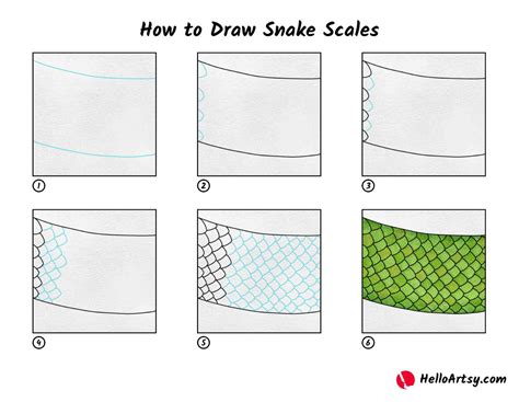 How to Draw Snake Scales - HelloArtsy