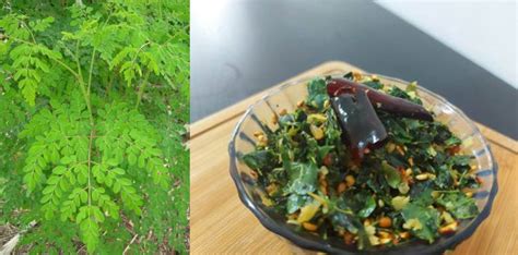 മുരിങ്ങയില കൊണ്ടൊരു ടേസ്റ്റിയും ഹെൽതിയുമായ തോരൻ, റെസിപ്പി വിഡിയോ ഇതാ ...