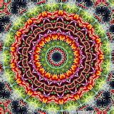 Image result for Set in ArrayList Java