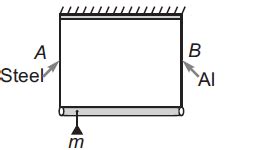 A rod of length l and negligible mass is suspended at its two ends by ...