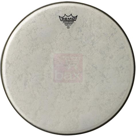 Remo SK0015-00 15-Inch Snare Drum Head : Amazon.in: Musical Instruments