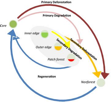 Image result for Fragmentation Pathways