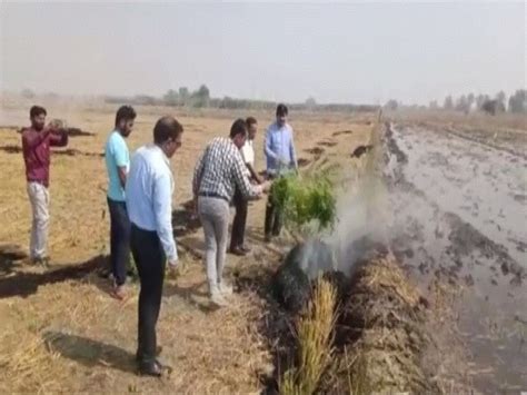Haryana officials visit farms to douse stubble fires in fields, create ...