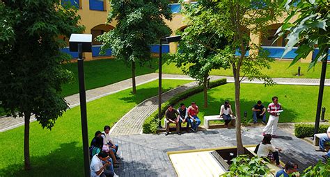 Math Software Free 的图像结果