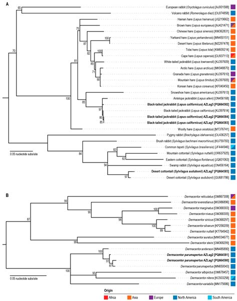 Diverse Anelloviruses Identified in Leporids from Arizona (USA)