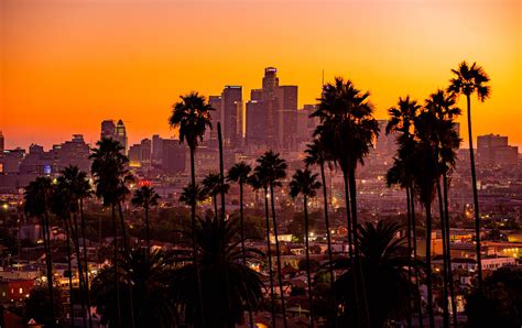 palm trees, Los Angeles, cityscape, sky, sunset, HD Wallpaper | Rare ...