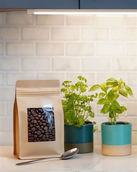 What Indoor Plants Like Coffee Grounds? - Soltech