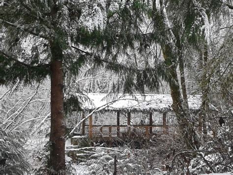 South Puget Sound Community College Office Photos | Glassdoor