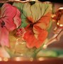 Image result for Teacup Collection