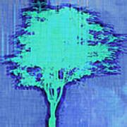 Image result for Quality Color Coding