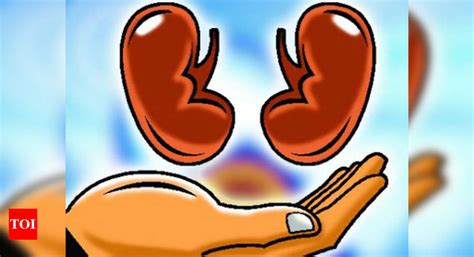 Telangana tops in cadaver organ donations, Karnataka at 4th spot ...