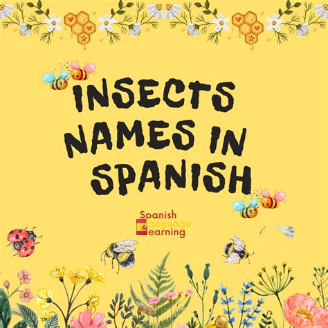 Insects Names in Spanish - Spanish Language Learning