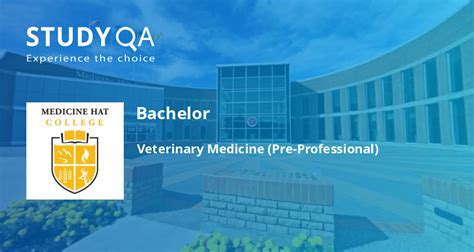 StudyQA — Bachelor: Veterinary Medicine (Pre-Professional) — Medicine ...