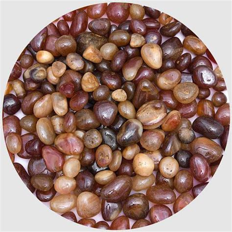 Buy Medium Pebbles online from Nurserylive at lowest price.