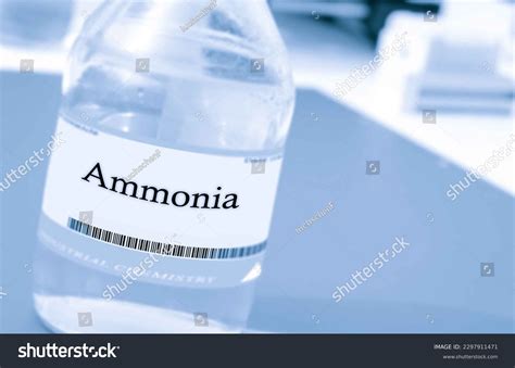 189 Bleach Ammonia Images, Stock Photos & Vectors | Shutterstock