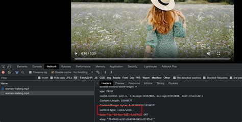 Image result for Displays for Apple Computer