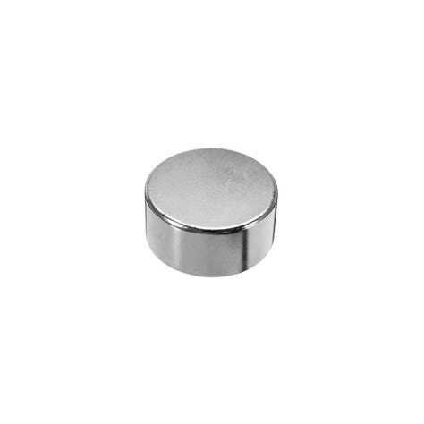 Probots 13mm x 10mm Neodymium Magnet Disc Buy Online India