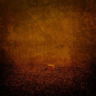 Political Editing Banner Backgrounds | Free Political CDP Editing ...