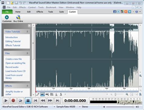 Image result for WavePad Audio Editor Tutorial