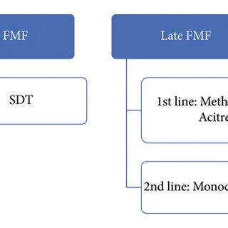 Image result for FMF Tutorial