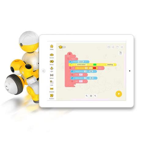 Coding Gadgets JavaScript 的图像结果