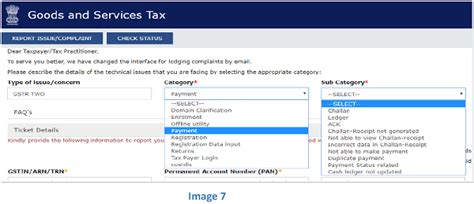 GST Self Service Portal User Guide