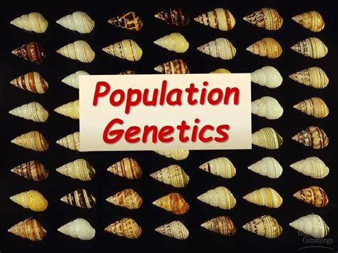 Image result for Population Genetics Basics
