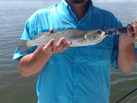 SW FLORIDA FISHING & ECO ADVENTURES, LLC - All You Need to Know BEFORE ...
