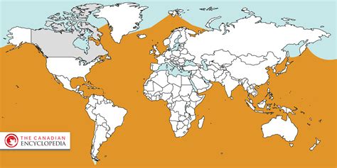 Where Do Blue Whales Live