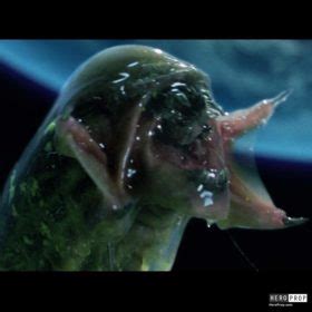 Image result for Alien vs Predator Chestburster