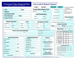 DSS Form 147 - Fill Online, Printable, Fillable, Blank - pdfFiller