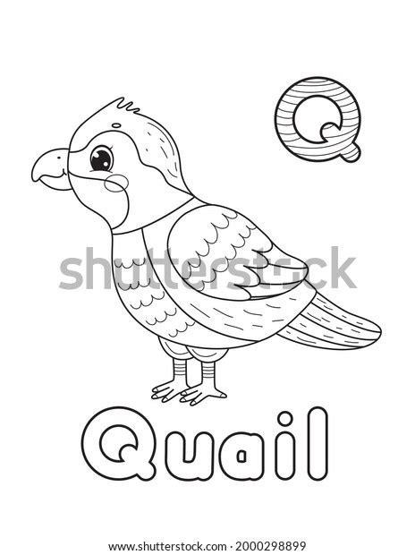 Image result for BeanShell Tutorial