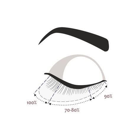 Eyelash extension guide different types of eyelash extensions styles ...