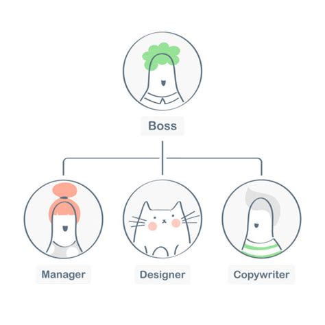Organization Animation 的图像结果
