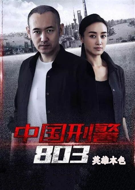 《中国刑警803英雄本色》电视剧全集在线观看-免费完整版-全看影院-全看网