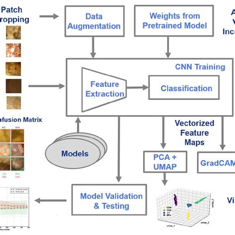 Deep Learning Models Development Process 的图像结果
