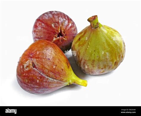 Higo Fruit In English - Uno