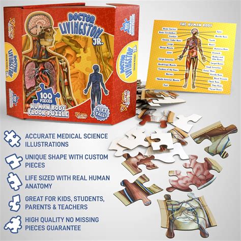 Kid's 100 Piece Human Body Floor Puzzle: Dr Livingston's Jr. - A Medic ...