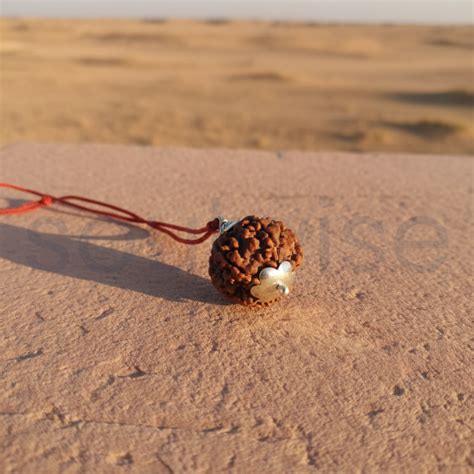 Original 5 Mukhi Nepali Rudraksha Silver Pendant (Without Chain ...