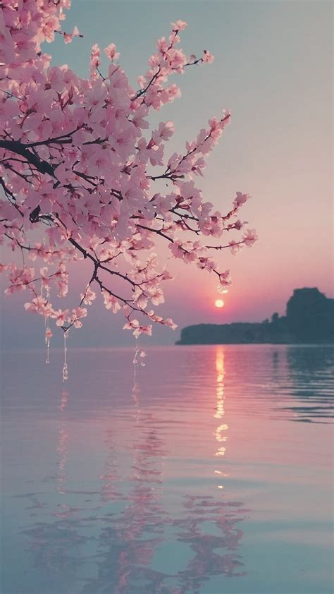 From Drab to Fab 15 Pink Wallpapers Youll Love | Pretty wallpapers ...