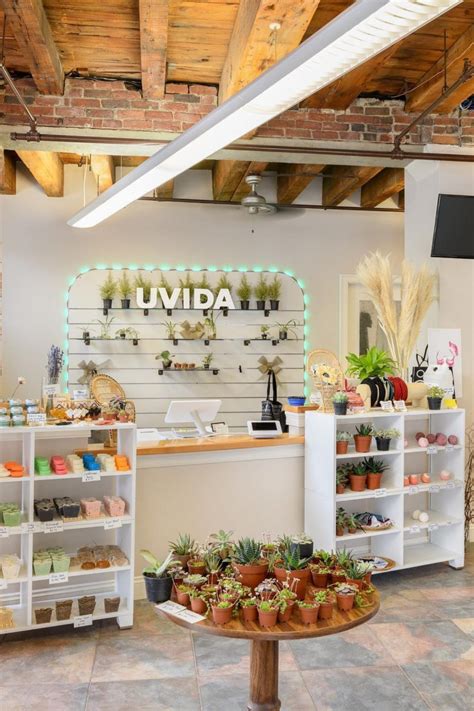 Image result for Zero Waste Store